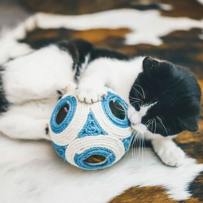 V3HDBEFA7986E4DADD2B9037F29442B4A31R5778939P4