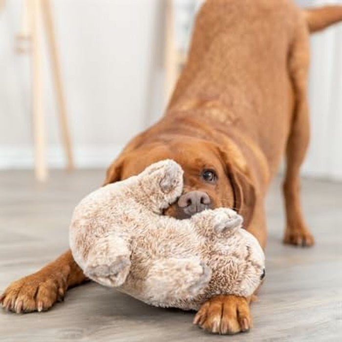 V6H14BA42EA9283B57F2A4833B69632EC1DR5432027P3