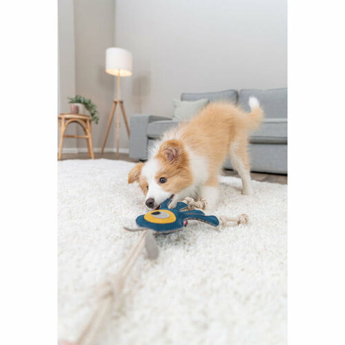 V3HA48C104ED267DFD20D34DBCEF6823D2FR7449073P6