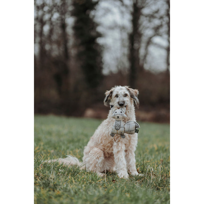 V5H8CEFEE9B0ECC7FD288756BF6320589FDR5333702P5