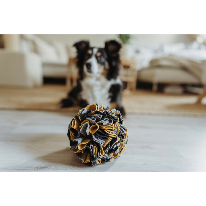 V4HFA488BB3705DCA5315F700B18D87F4DFR5333596P4