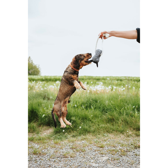 V3HD02842968CB81FCC1D78484E79519A1CR5574760P3