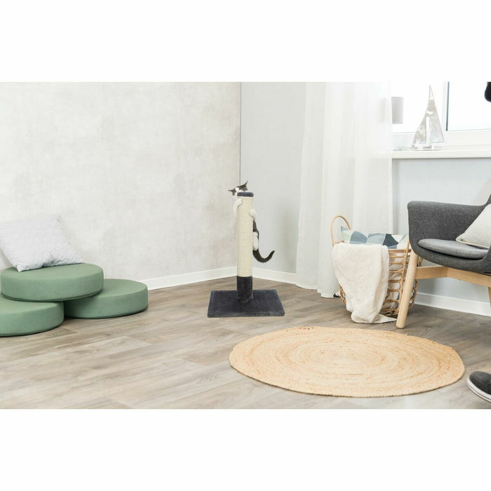 V5H32DD0A8D378D60155E599D39A16AF6FCR5333136P5