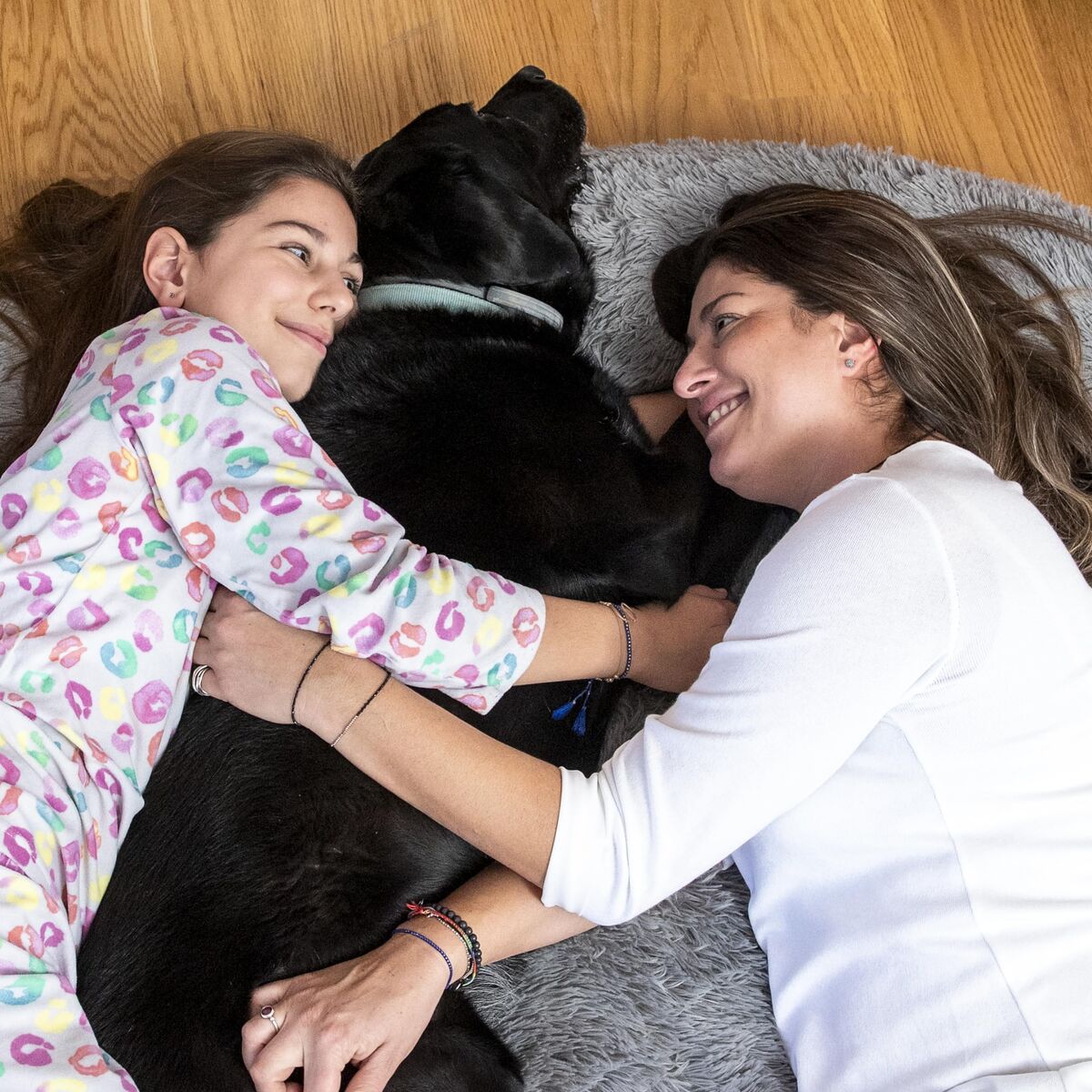 Cães