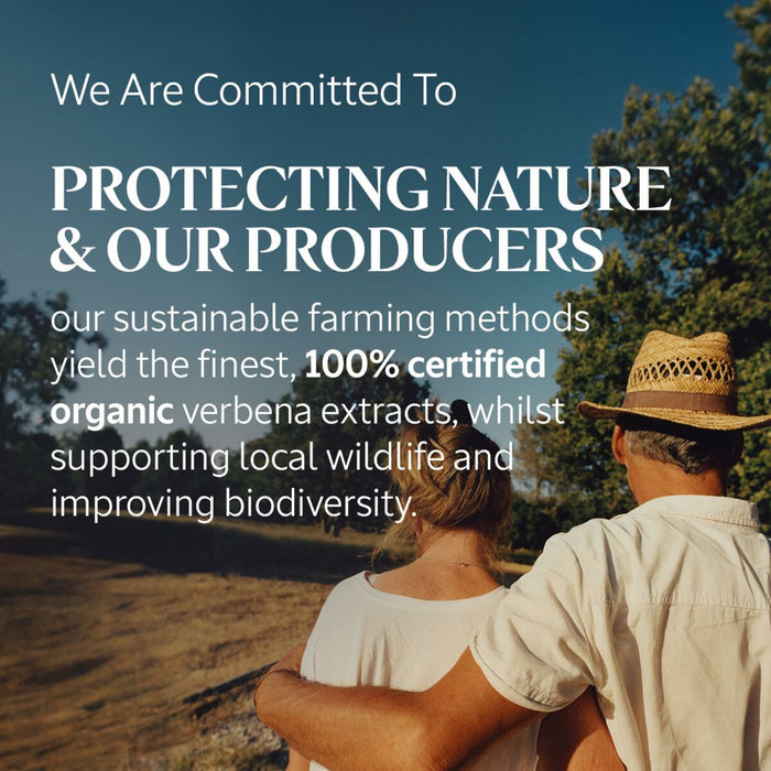 V3H3BAEDD20742040C62382139FA8B4660BR5915515P3