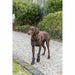 V2HBC51AC7A9D37893FDB0B347F0D45F49FR7815925P8