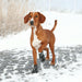 V3HB99D1A81956466E2BDC28FFDDED4D05DR7439860P4