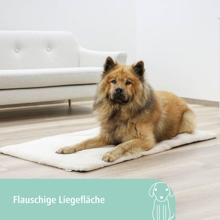 V2H3D8946C533AF8E769850E8137CC928FCR7479962P6