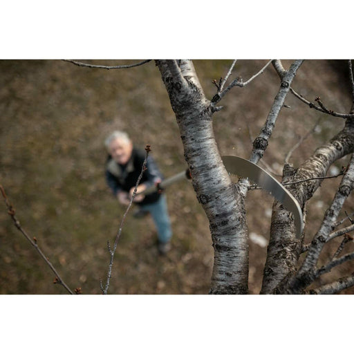 V10H59A8B3F3CB0513BA8FC1959C3FEE9C65R3447926P2