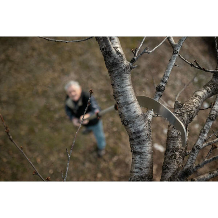 V10H59A8B3F3CB0513BA8FC1959C3FEE9C65R3447926P2