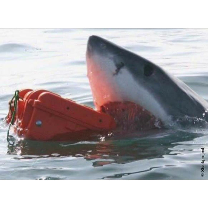 V2H87EC95624924A558270C4CE4E442FFA1R7121724P6