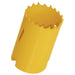 V8HE017F35FA921A2322F0F668F441BCF66R3443205P1
