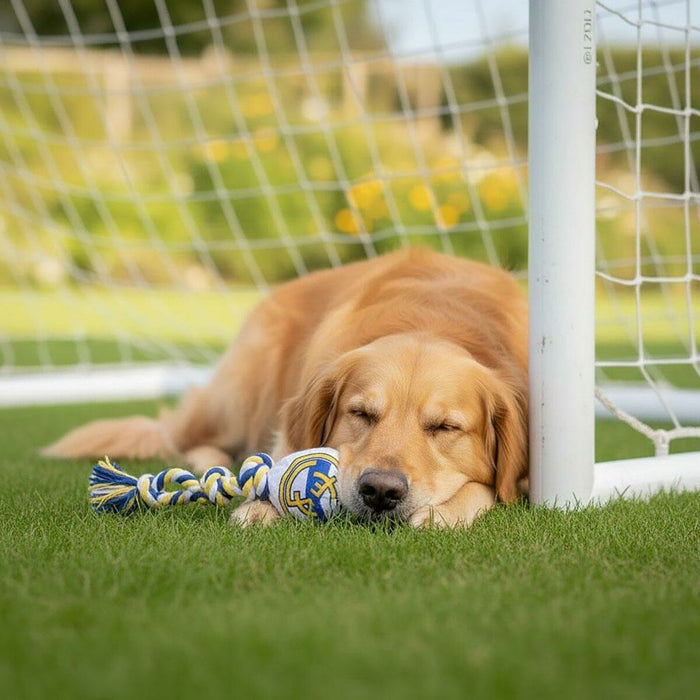 V2H98074F10C8BE8E076CAE62417D251B1BR7165608P3