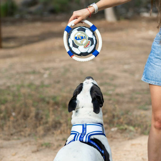 V2HAF34C54344F83DB35B796C991959C40DR7021653P2