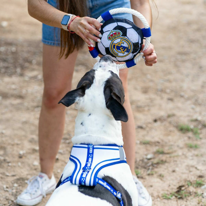 V2HF060AF440EEF430ED6DBA4AC614041DDR7021654P3