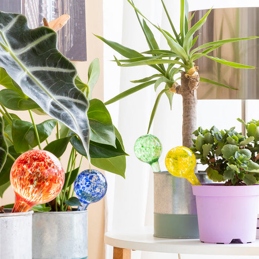 V13HA6CD643DBDEA45BECBFE3F69B7933FDDR5254306P2