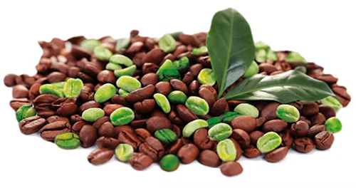 RXB Green Coffee