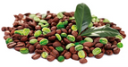 RXB Green Coffee – cápsulas de café verde